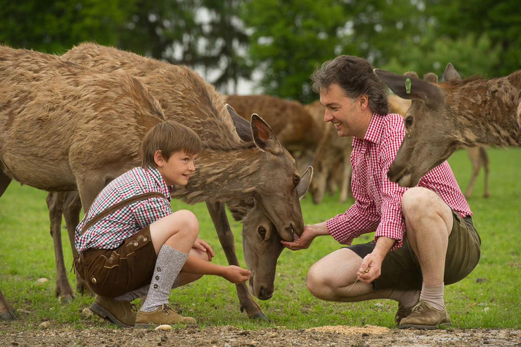 Willa Bauer & Wirt Langthaler Emmersdorf an der Donau Pokój zdjęcie
